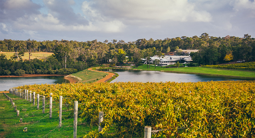 Aravina Estate | Halliday Wine Companion